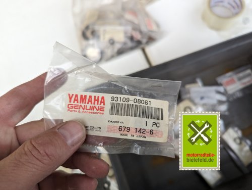 PXL_20240528_175324839.MP